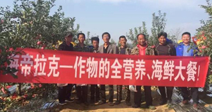 蘋果樹12月管理技術要點！抓緊時間看