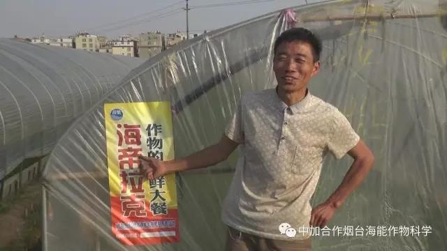 顆粒水溶肥 顆粒水溶肥