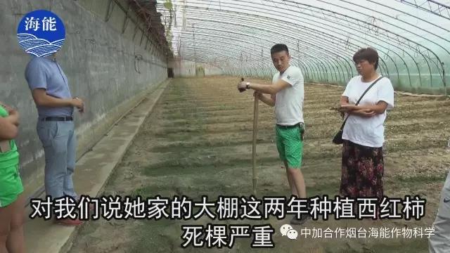 大量元素水溶肥 大量元素水溶肥