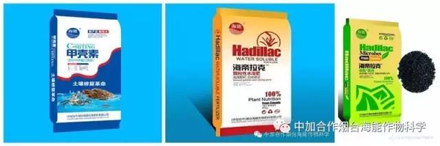 大量元素水溶肥 大量元素水溶肥