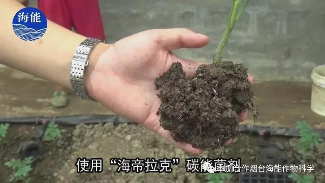 大量元素水溶肥 大量元素水溶肥