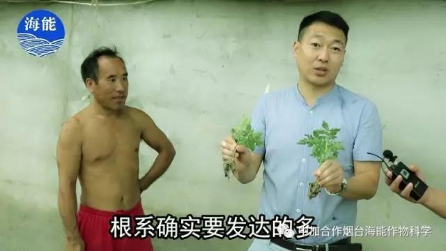 大量元素水溶肥 大量元素水溶肥