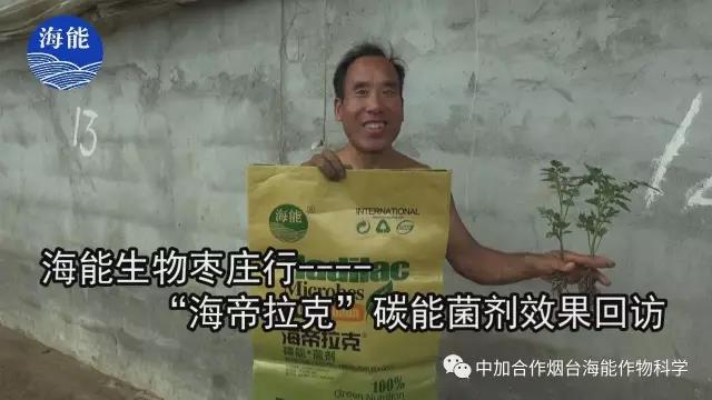 大量元素水溶肥 大量元素水溶肥