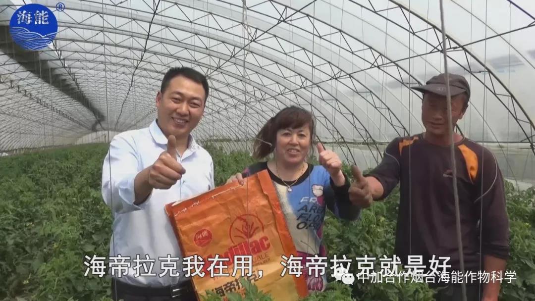 膨果水溶肥 膨果水溶肥