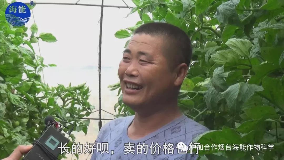 膨果水溶肥 膨果水溶肥