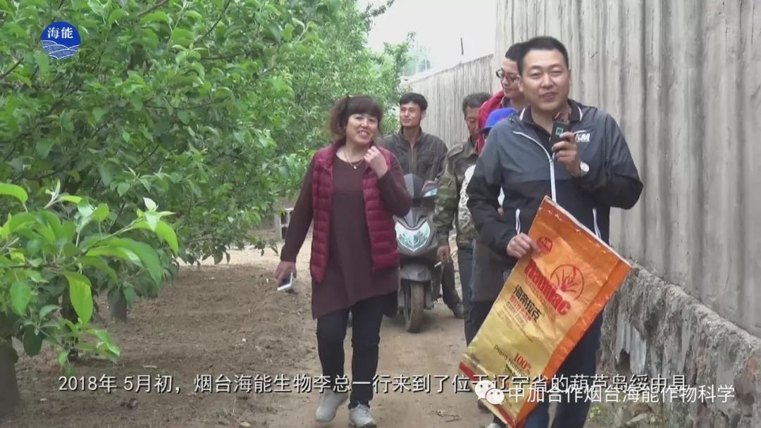 膨果水溶肥 膨果水溶肥