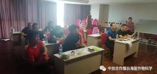 知識競賽爭先鋒，比學趕超展風采