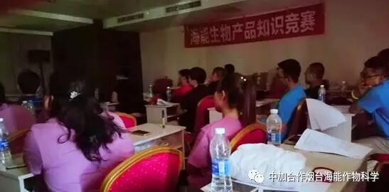 知識競賽爭先鋒，比學趕超展風采