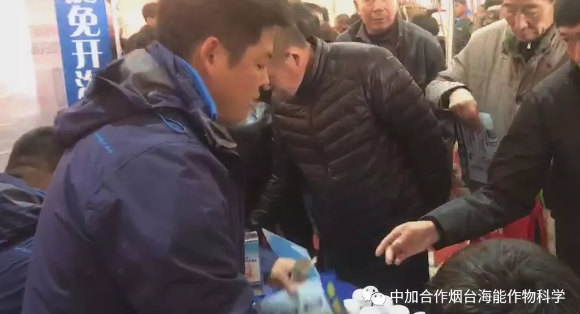 91免费看污羞羞的视频生物帶你玩轉煙台苗木會 91免费看污羞羞的视频生物帶你玩轉煙台苗木會