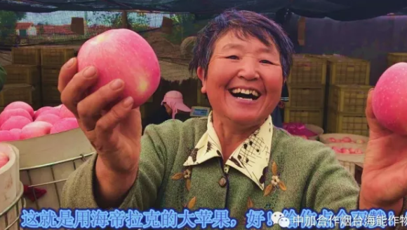 用實力證明一切-----眾多種植戶都在說這樣的一句話 用實力證明一切-----眾多種植戶都在說這樣的一句話