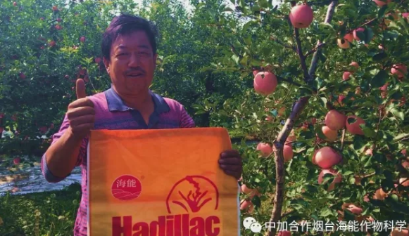 用實力證明一切-----眾多種植戶都在說這樣的一句話 用實力證明一切-----眾多種植戶都在說這樣的一句話