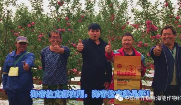 用實力證明一切-----眾多種植戶都在說這樣的一句話 用實力證明一切-----眾多種植戶都在說這樣的一句話