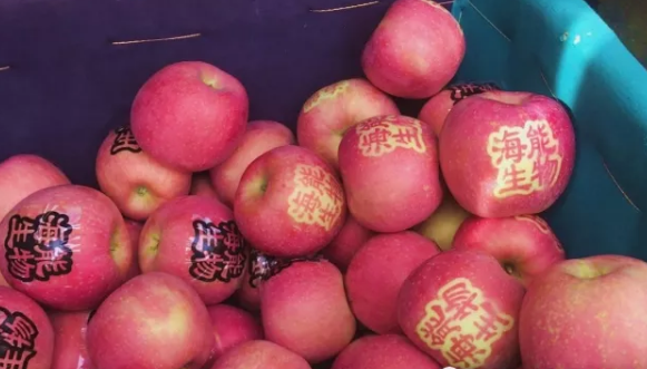 用實力證明一切-----眾多種植戶都在說這樣的一句話 用實力證明一切-----眾多種植戶都在說這樣的一句話