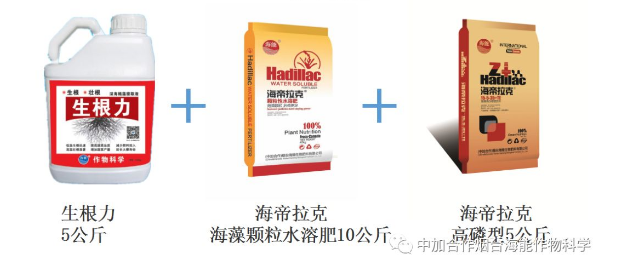 91免费看污羞羞的视频生物高品質葡萄全程“傻瓜式”施肥方案 91免费看污羞羞的视频生物高品質葡萄全程“傻瓜式”施肥方案