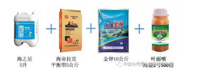 91免费看污羞羞的视频生物高品質葡萄全程“傻瓜式”施肥方案 91免费看污羞羞的视频生物高品質葡萄全程“傻瓜式”施肥方案