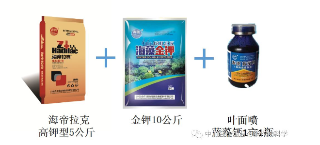 91免费看污羞羞的视频生物高品質葡萄全程“傻瓜式”施肥方案 91免费看污羞羞的视频生物高品質葡萄全程“傻瓜式”施肥方案