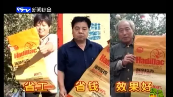 蘋果樹12月管理技術要點！抓緊時間看