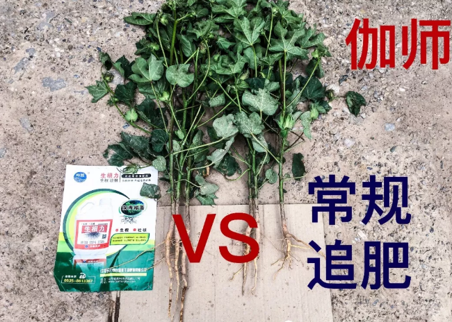 天山、戈壁、沙漠91免费看污羞羞的视频與你在這裏相遇