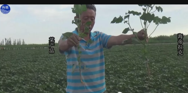 天山、戈壁、沙漠91免费看污羞羞的视频與你在這裏相遇