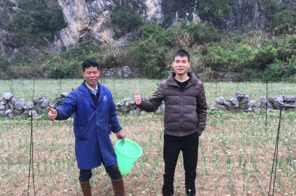 廣西省柳州市柳江區柳江區六道鎮梁老板香蔥基地 廣西省柳州市柳江區柳江區六道鎮梁老板香蔥基地