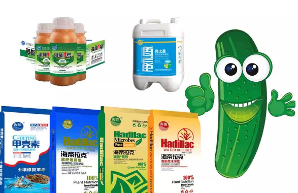 91免费看污羞羞的视频生物黃瓜全程施肥技術 91免费看污羞羞的视频生物黃瓜全程施肥技術