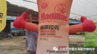 1576135892775501.png image.png