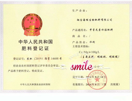 付出終會有回報，功夫不負有心人