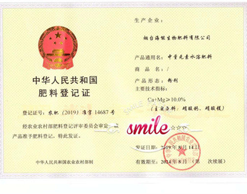 付出終會有回報，功夫不負有心人