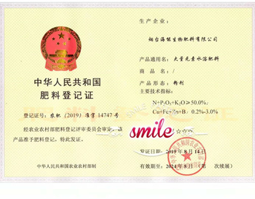 付出終會有回報，功夫不負有心人