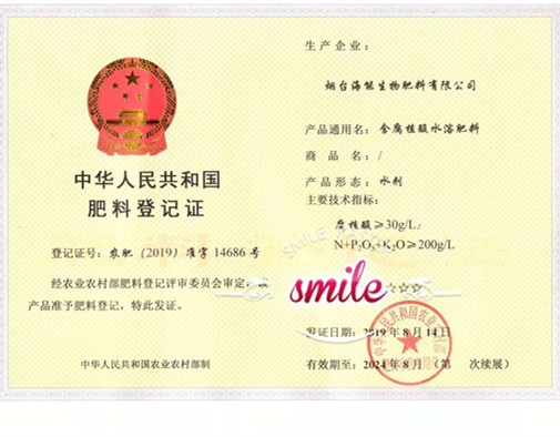 付出終會有回報，功夫不負有心人