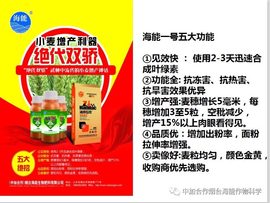 抗寒利器，91免费看污羞羞的视频1號