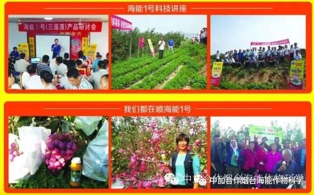 抗寒利器，91免费看污羞羞的视频1號