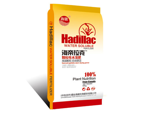 顆粒水溶肥廠家分享水溶肥對西紅柿的作用 顆粒水溶肥廠家分享水溶肥對西紅柿的作用